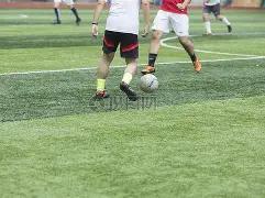 双色球秘籍,大放送,期独家冷热,中国体育彩票,中国体彩,足球彩票,体彩投注,体育彩票