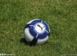 乐透王,福彩,预测精准胆,中国体育彩票,中国体彩,足球彩票,体彩投注,体育彩票