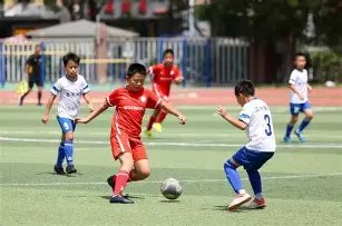 双色球,独家揭秘,复式,中国体育彩票,中国体彩,足球彩票,体彩投注,体育彩票