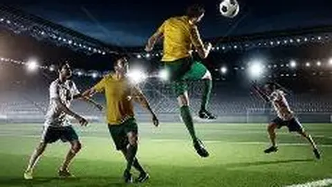 神秘之门：探秘403禁止通行之谜