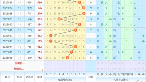 【独门秘籍】26013期大乐透专家精准筛选，100%必杀号码：06、08、11，速来一探究竟！