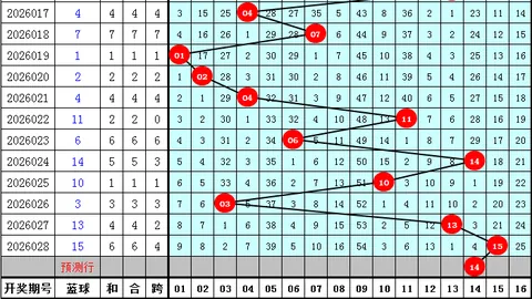 大乐透26028期专家推荐后区五胆，稳中求胜策略解析